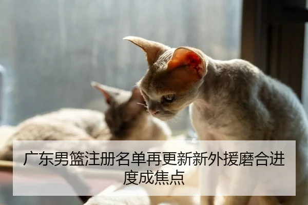 广东男篮注册名单再更新新外援磨合进度成焦点